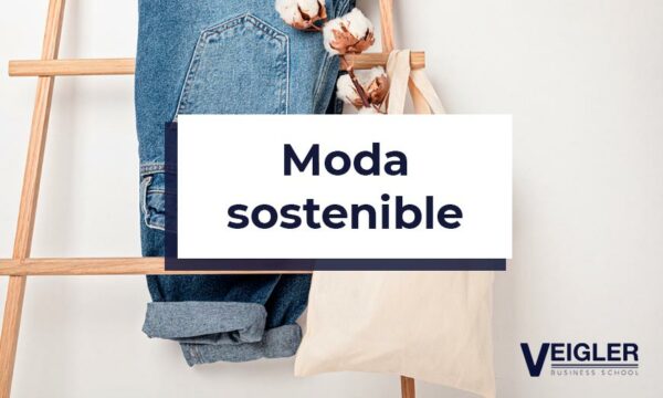 Ropa Ecológica Características Y Materiales Veigler Business School 